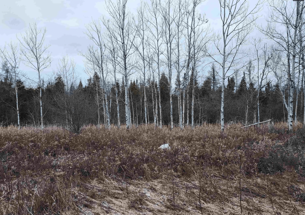 Vacant Land In Rapid River, MI MIFarmLink